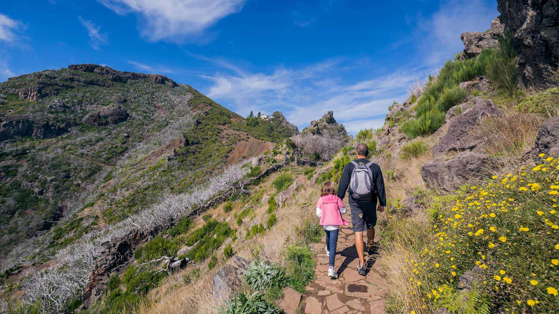 Vereda do Pico Ruivo, Portugal 🇵🇹